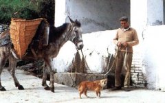Fuente del Capitán