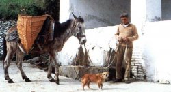 Fuente del Capitán