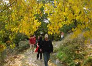 Actividades para el Otoño 2012 en Mecina Bombarón